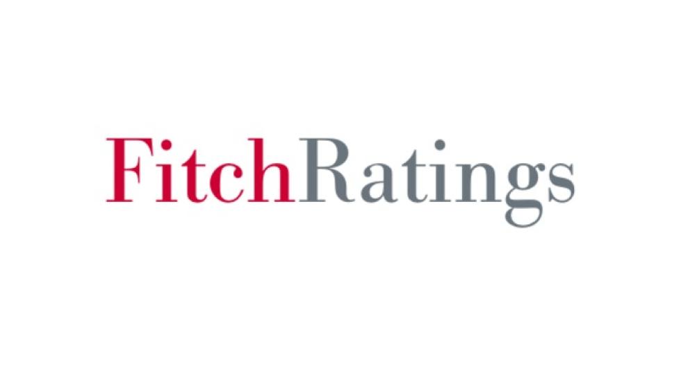According to Fitch, CIS+ sovereigns' growth prospects are poorer, and ...