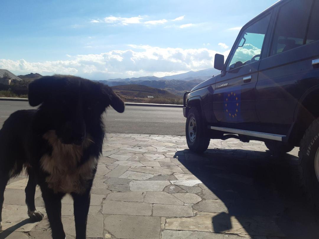 A dog and a vehicle of the EU Monitoring Capacity to Armenia. Yeghegnadzor, October 2022. Photo by the author.