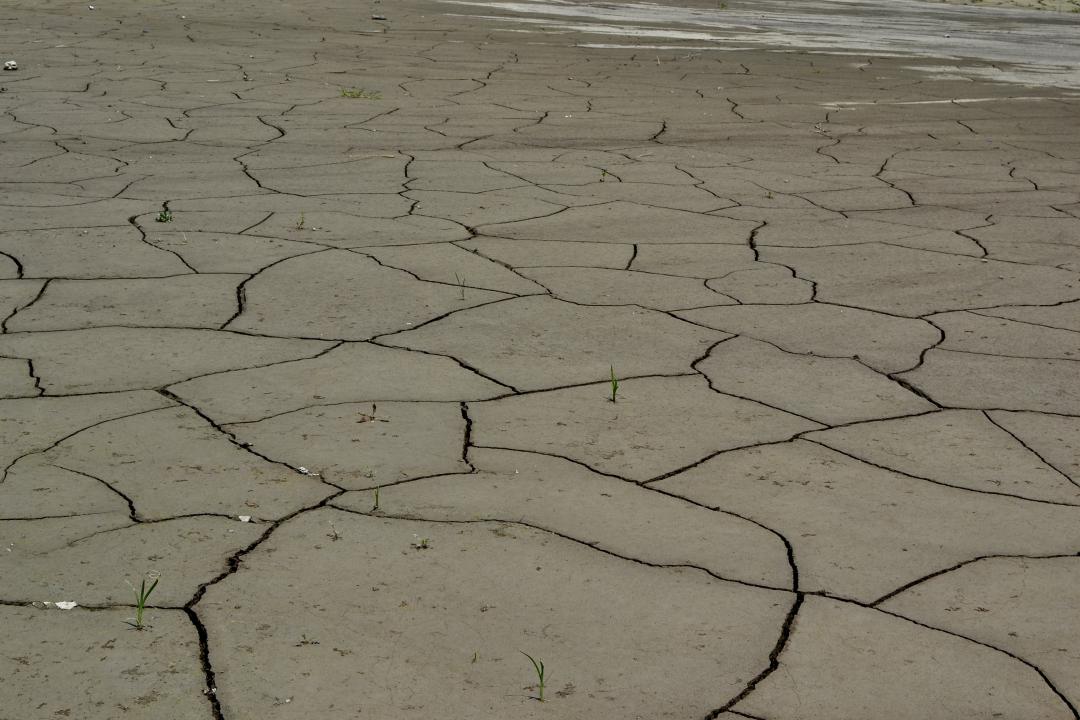 Sarsang Reservoir on the verge of drying up. Photo credit: Marut Vanyan/Caucasus Watch