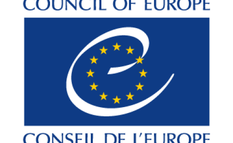 Europarat legt konsolidierten Bericht über Georgien vor