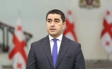 Georgian Speaker Calls for Apology from Zelenskyy and Sandu Over Saakashvili Remarks