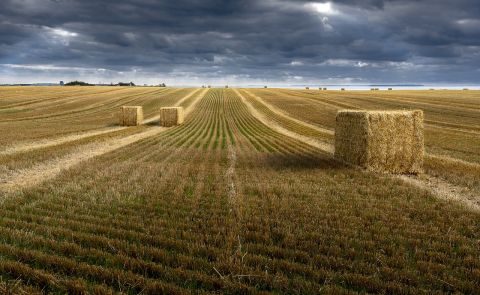 Food Security in Armenia: Wavering the Potential Storm and Challenges Ahead