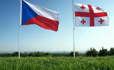 Czech Republic imposes sanctions on Georgian MIA officials for repression of protests