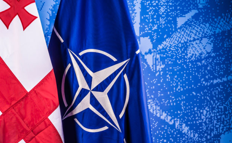 NATO-Mitgliedschaft ist keine Voraussetzung für die Entwicklung Georgiens
