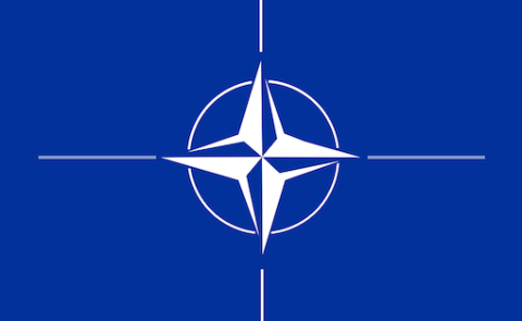 Rasmussen on the future NATO-membership of Ukraine and Georgia 