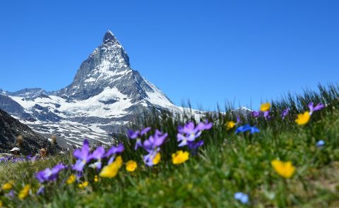 Die Schweiz setzt Georgien auf die Liste der „sicheren Länder“