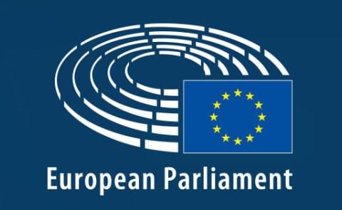 Critical remarks made at the EU parliament over the situation in Georgia