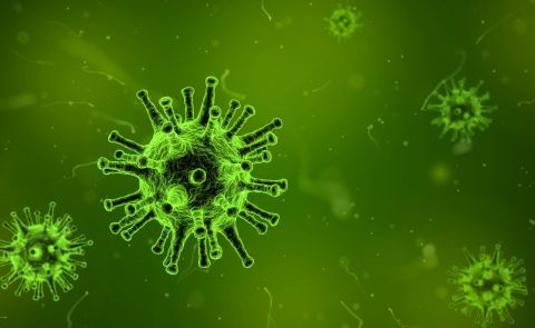 Die Länder des Südkaukasus reagieren auf den Ausbruch des Coronavirus