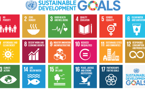 South Caucasus countries in UN’s Sustainable Development Goals Index