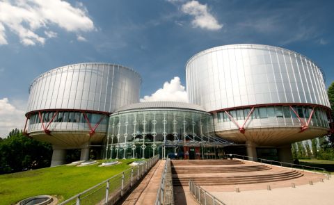 ECHR to inspect detentions of Georgian civic activists