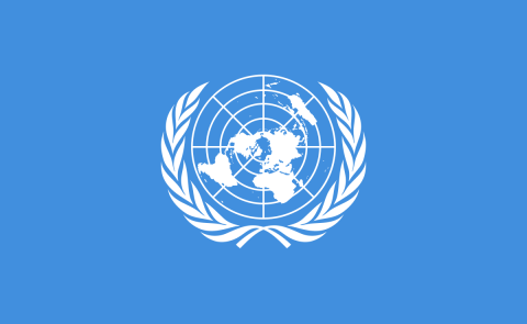 Separatistisches Abchasien beantragt Beobachterstatus bei der UN