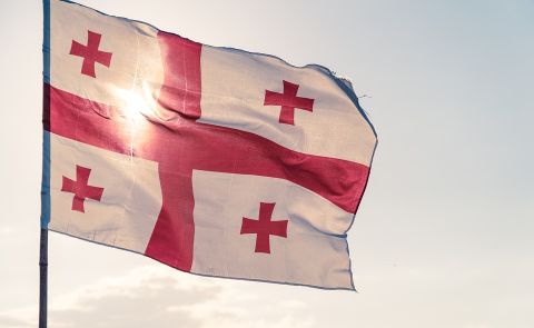 Georgia communicates with Polish, Danish PM, and Swedish FM