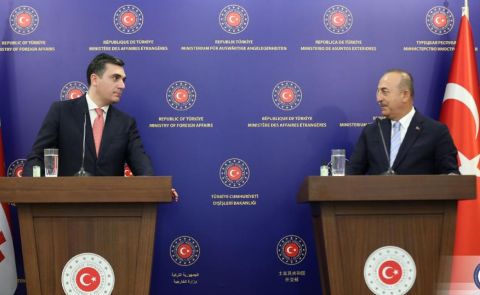 The Georgian Foreign Minister Meets His Turkish Counterpart in Ankara