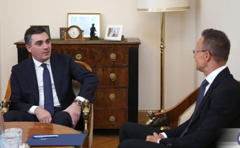 The Georgian Foreign Minister Meets His Counterpart in Budapest