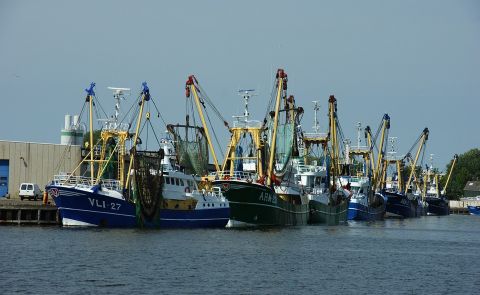Streik am Hafen Batumi